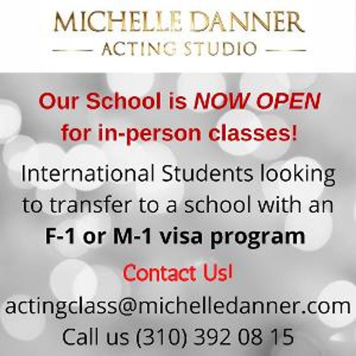 The Michelle Danner Acting Studio Re-Opens with In-Person Classes  Image