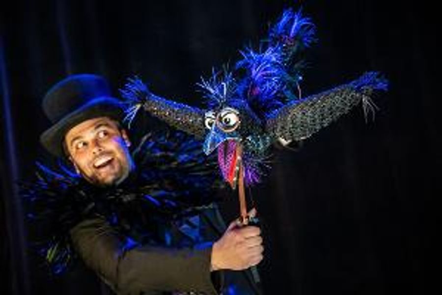THE FAMILY CROW A Murder Mystery' Flies Home To Toronto Fringe After Sold-Out Runs Across North America Image