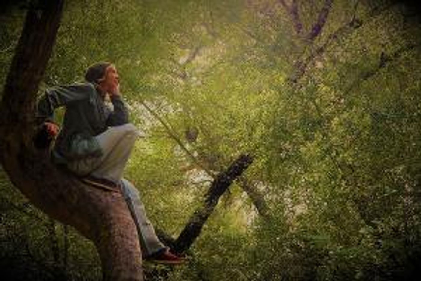 New Fortune Theatre Returns With AS YOU LIKE IT Outdoors This Summer  Image