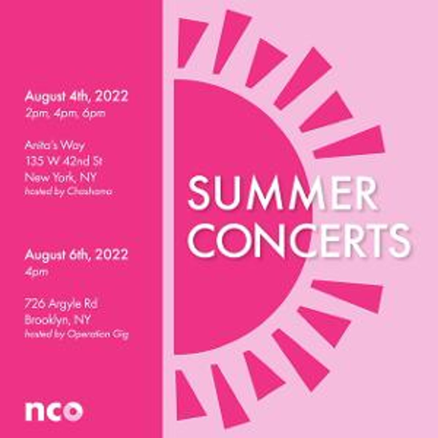 New Camerata Opera Presents An Outdoor Summer Concert With Operation Gig!  Image