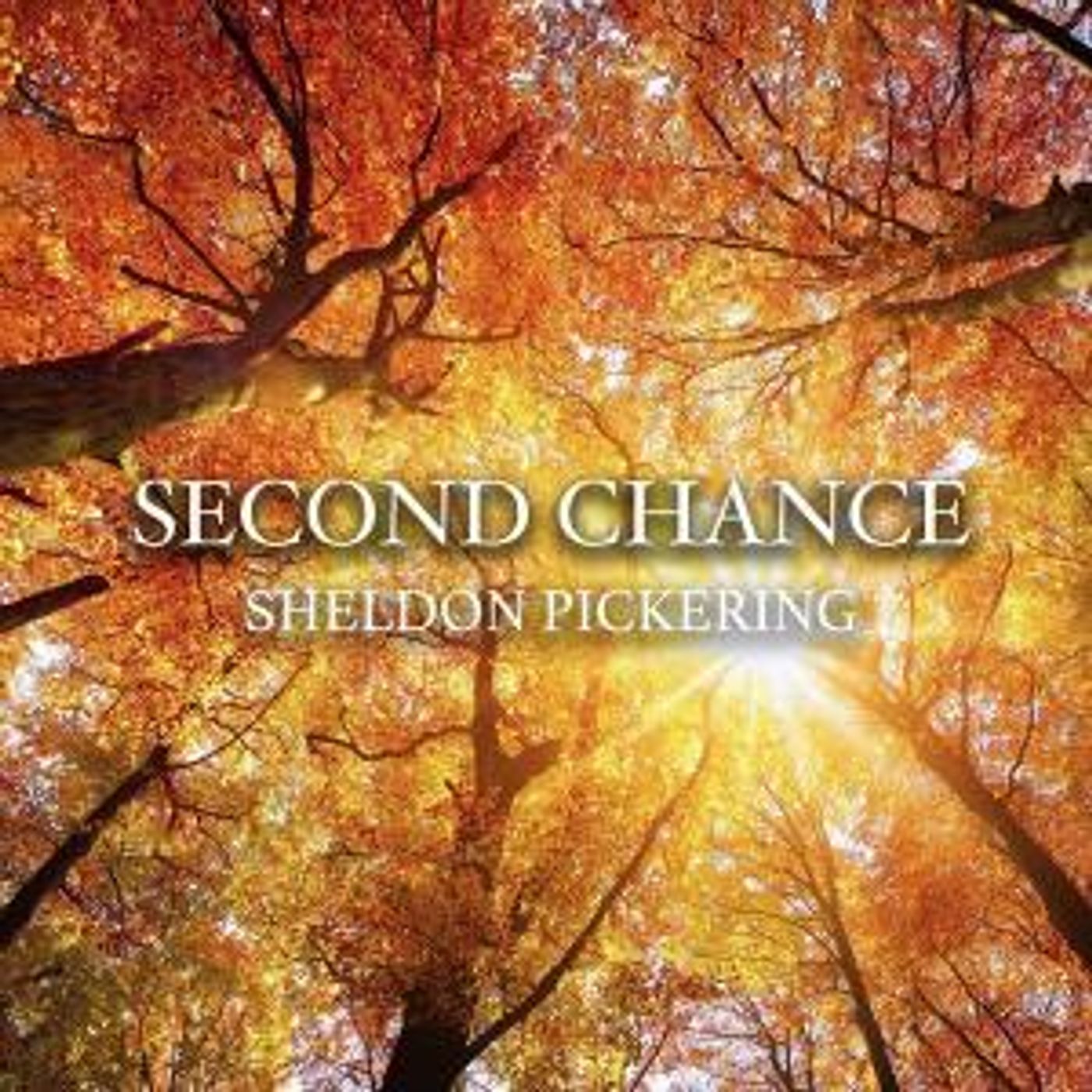 Acclaimed Pianist Sheldon Pickering Releases Inspiring Single 'Second Chance'  Image