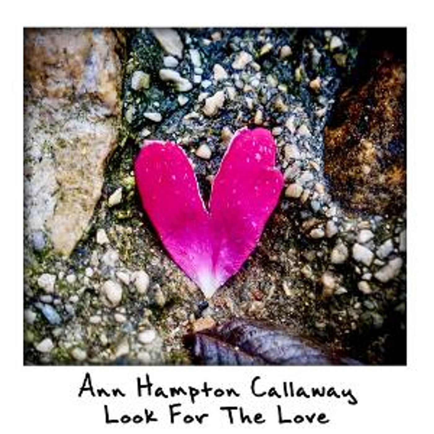 Ann Hampton Callaway Presents LOOK FOR THE LOVE Live Stream  Image