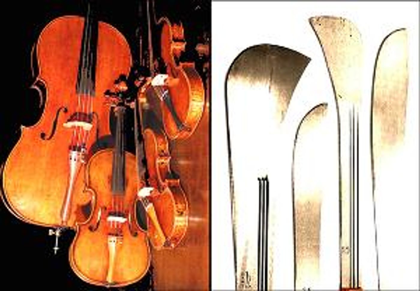 Elliott Sharp OCCAM'S MACHETE World Premiere To Be Presented At Main Drag Music  Image