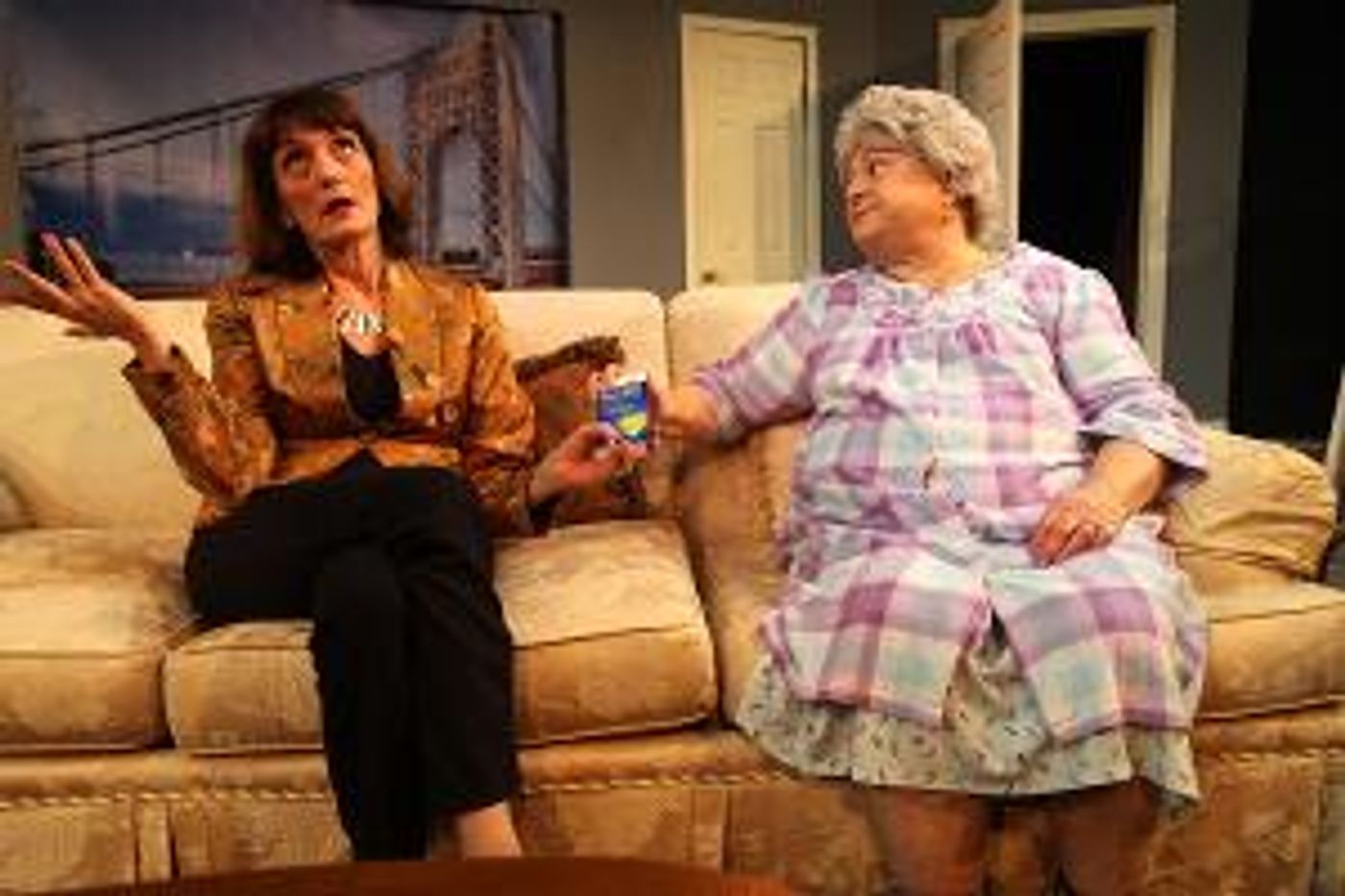 Westport Community Theatre Announces THE TALE OF THE ALLERGIST'S WIFE  Image