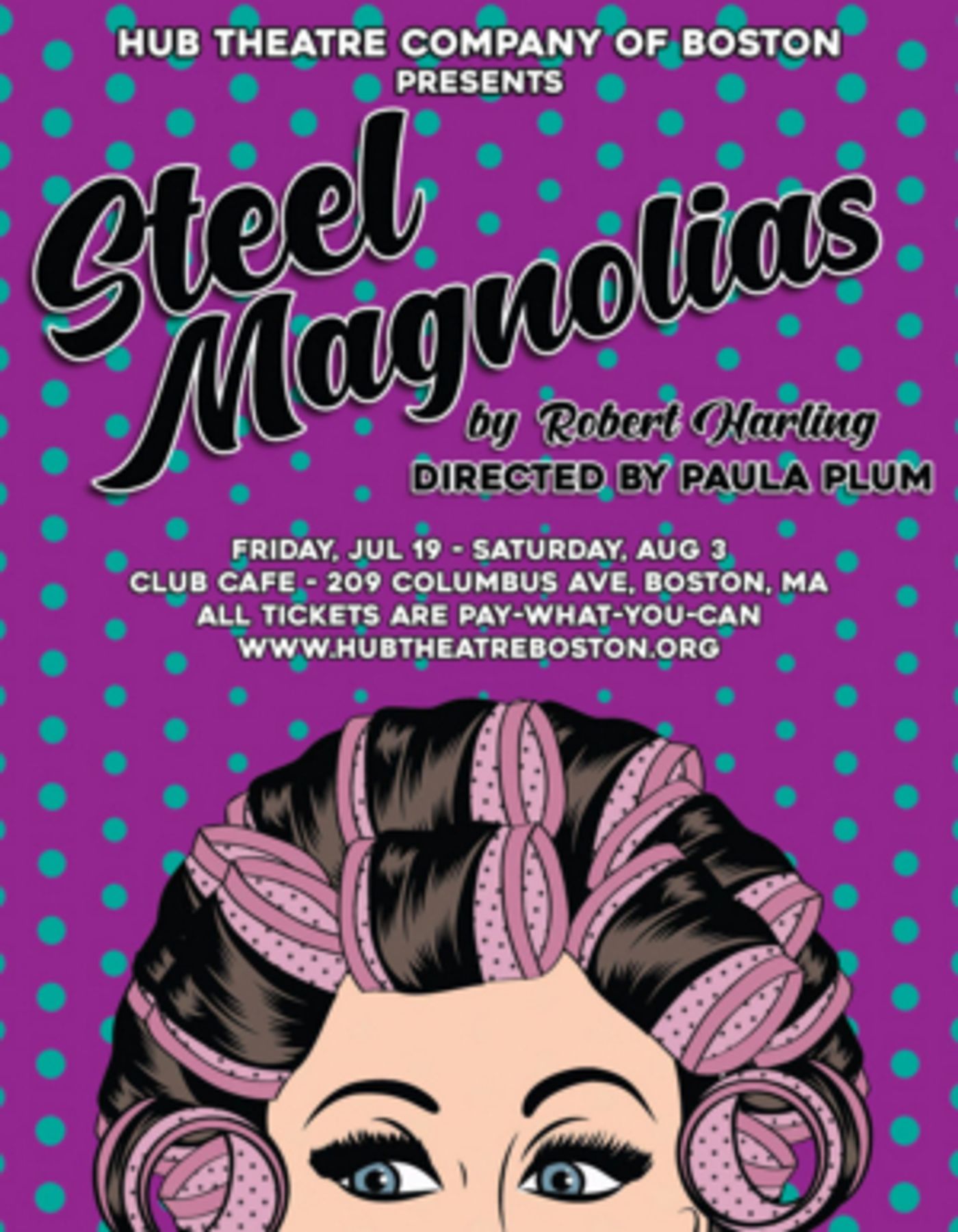Paula Plum Directs STEEL MAGNOLIAS With Hub Theatre Company Of Boston  Image