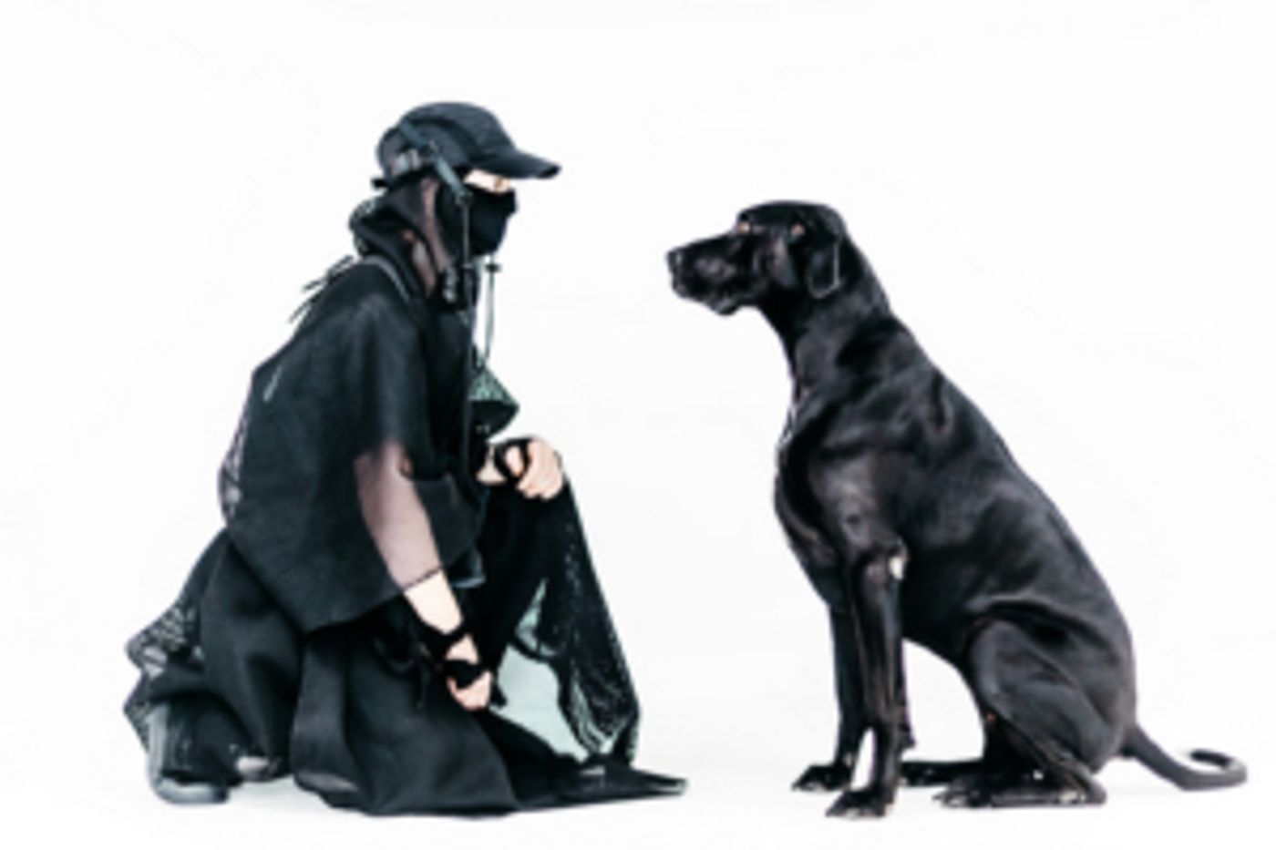 Chunky Move Presents World Premiere Of TOKEN ARMIES By Antony Hamilton  Image