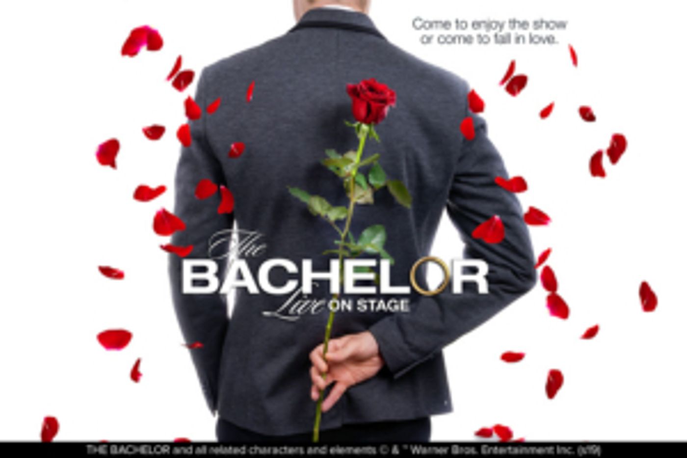 THE BACHELOR LIVE ON STAGE Comes to The King Center  Image