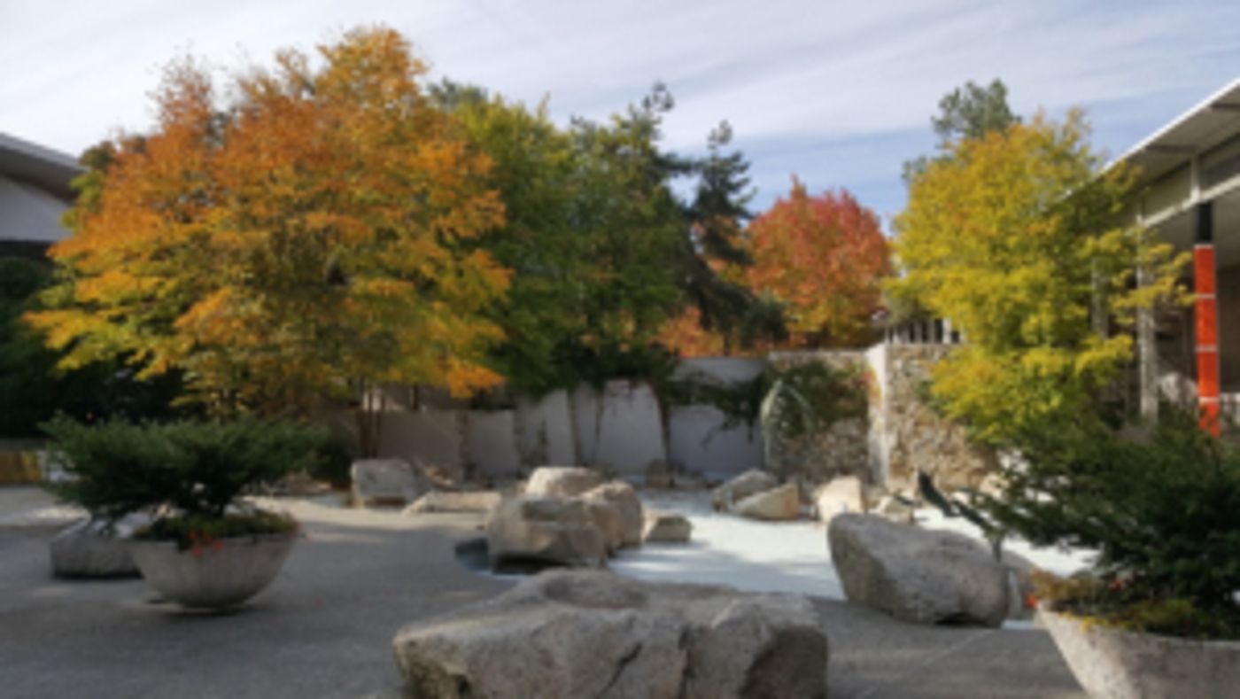 Seattle Center Seeks Input To Design The Future Of Dupen Fountain  Image