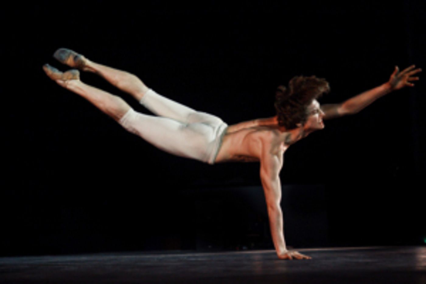 Festival Ballet Theatre's 12th Anniversary GALA OF THE STARS Returns In August  Image