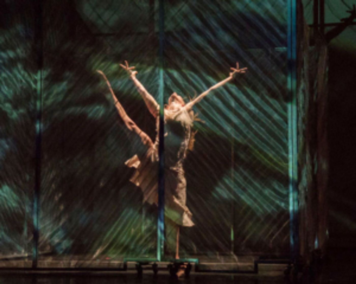 RIOULT Dance NY Announces Summer Intensive for Pre-Professional Dancers  Image