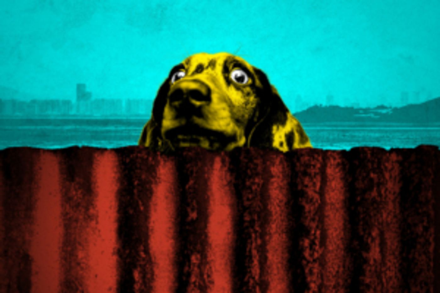 THE BORDER Will Embark on UK Tour  Image