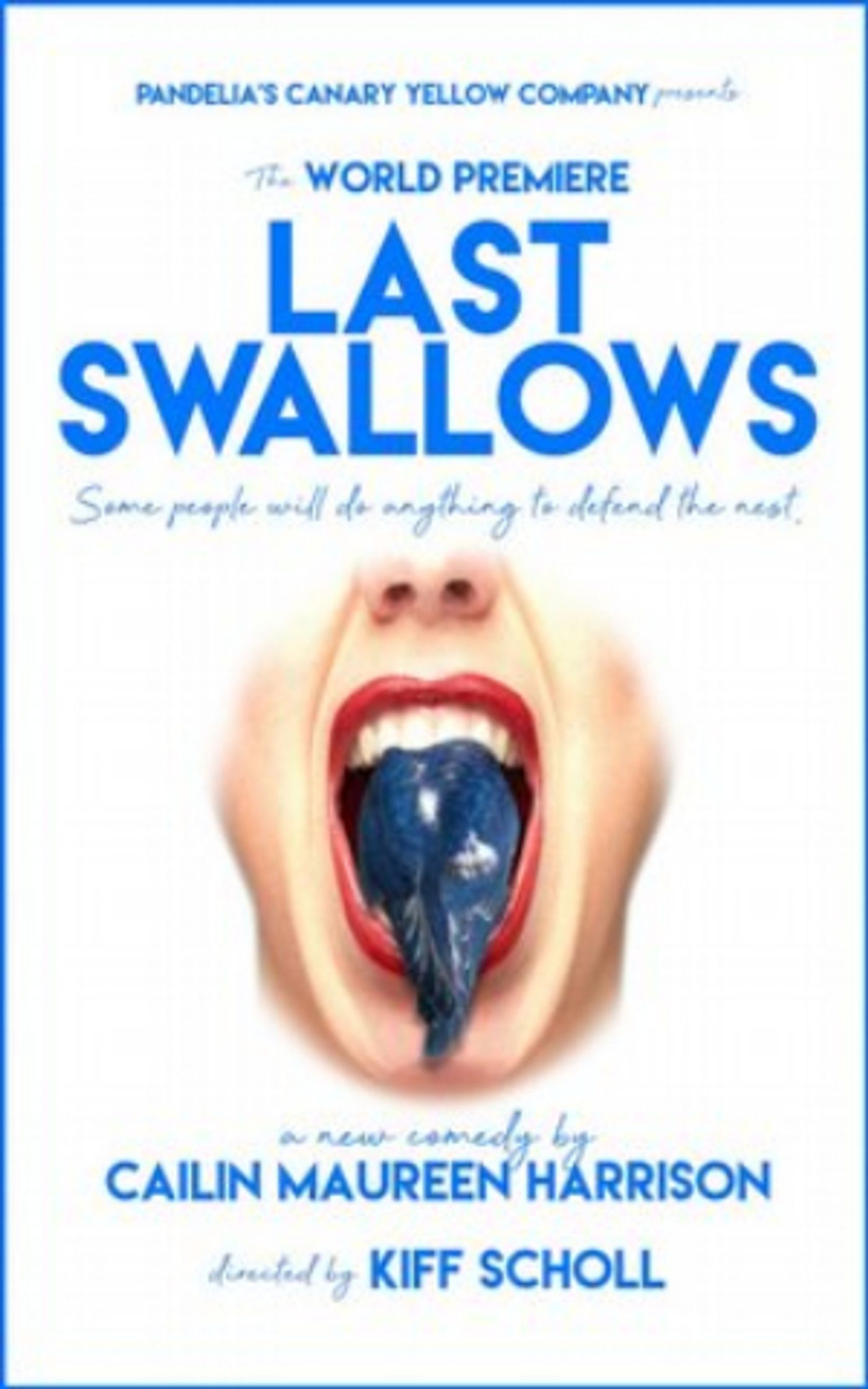 Pandelia's Canary Yellow Company Presents the World Premiere of LAST SWALLOWS  Image