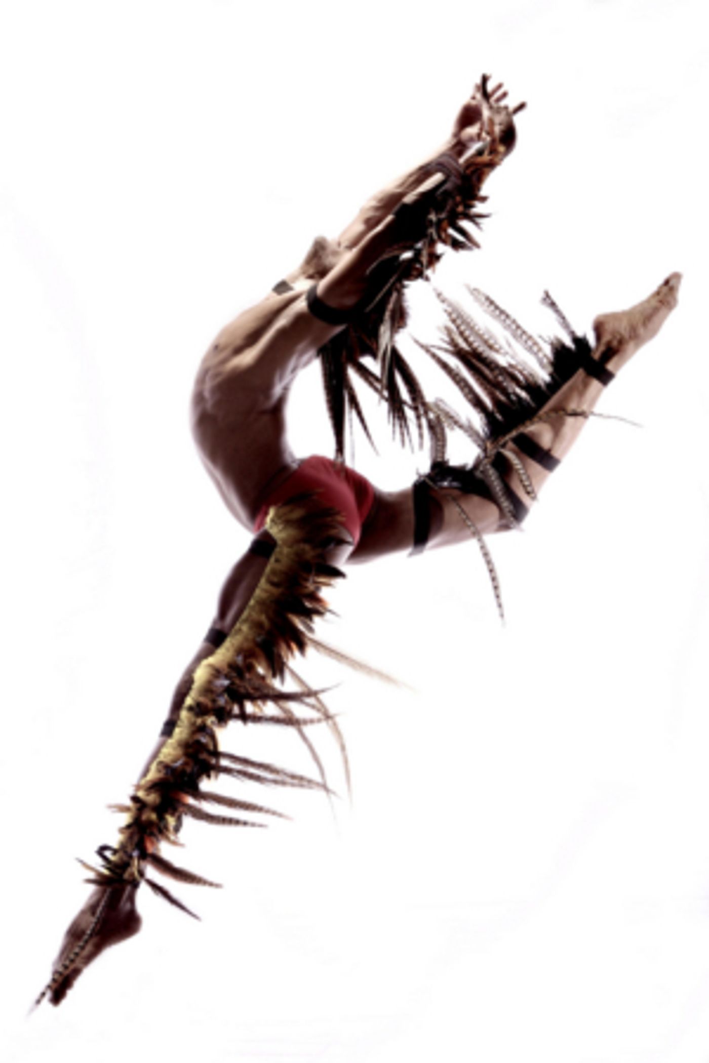 THE LAST MAYAN KING, The First Show Of The Live Arts At The Morris Museum Season, Opens September 20  Image