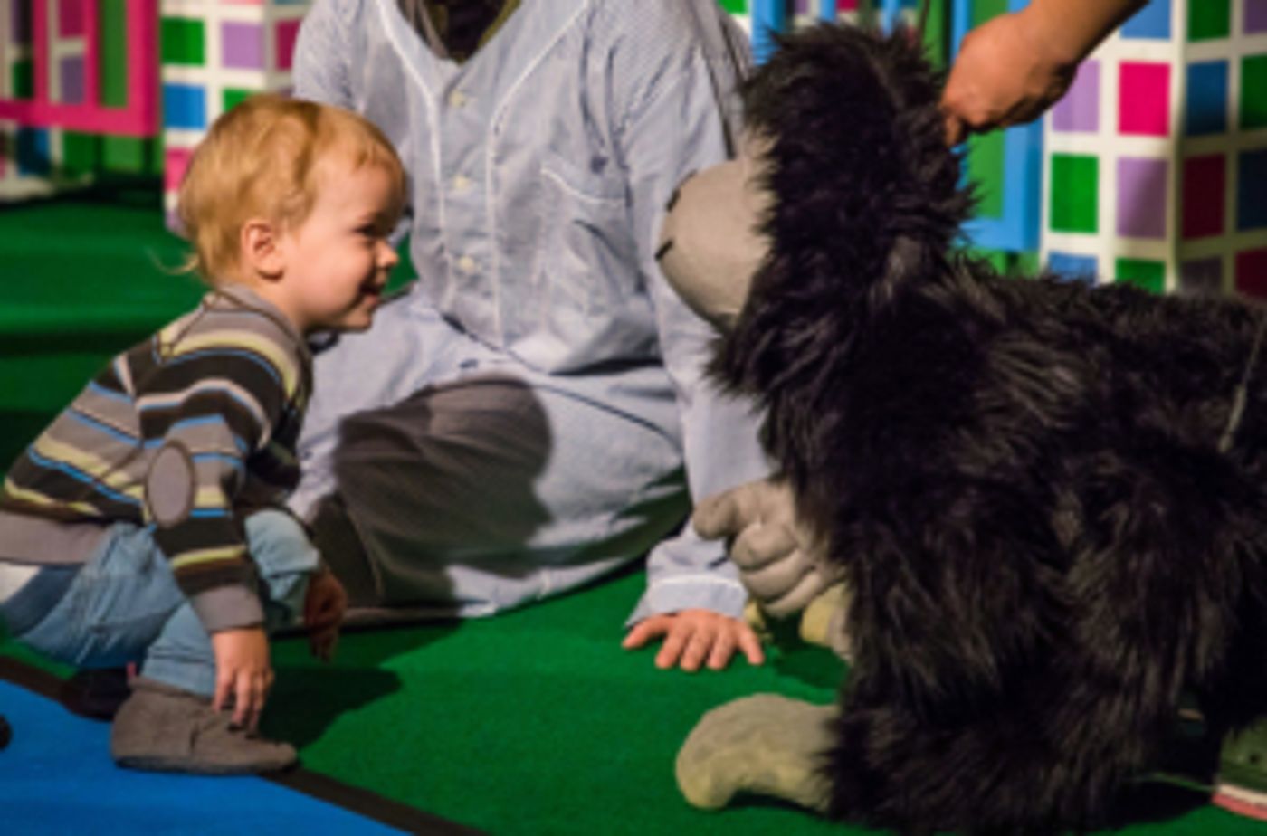 GOODNIGHT GORILLA Returns to San Francisco  Image