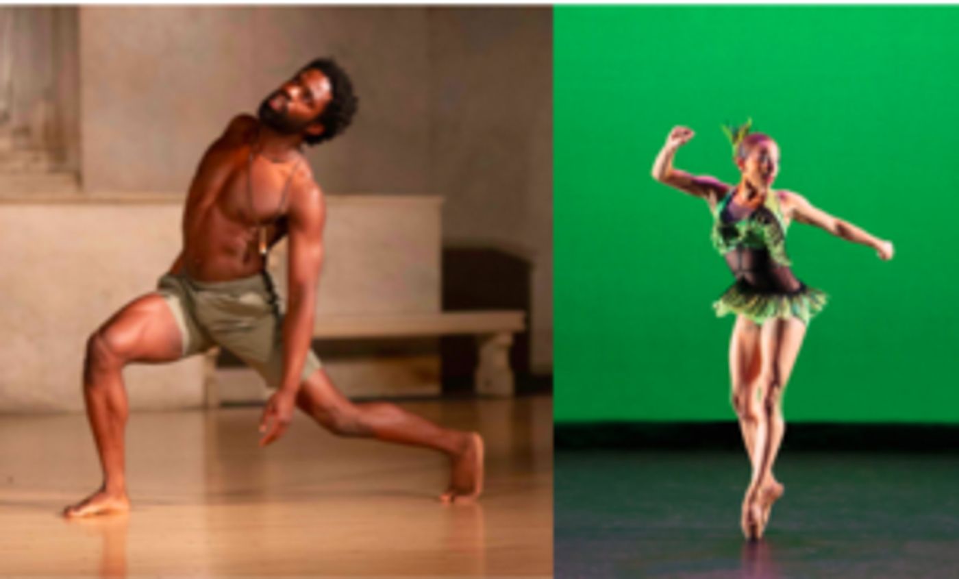 Free Outdoor Dance Festival DANCE ON THE LAWN Returns For Sixth Year  Image