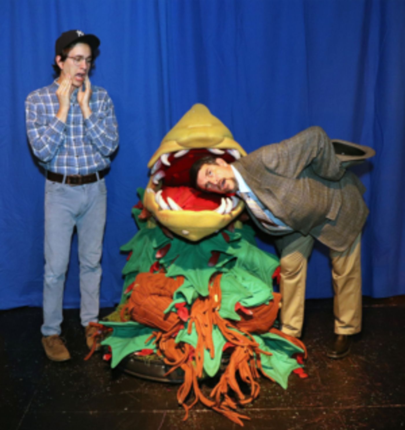 LITTLE SHOP OF HORRORS Comes To Sutter Street Theatre  Image