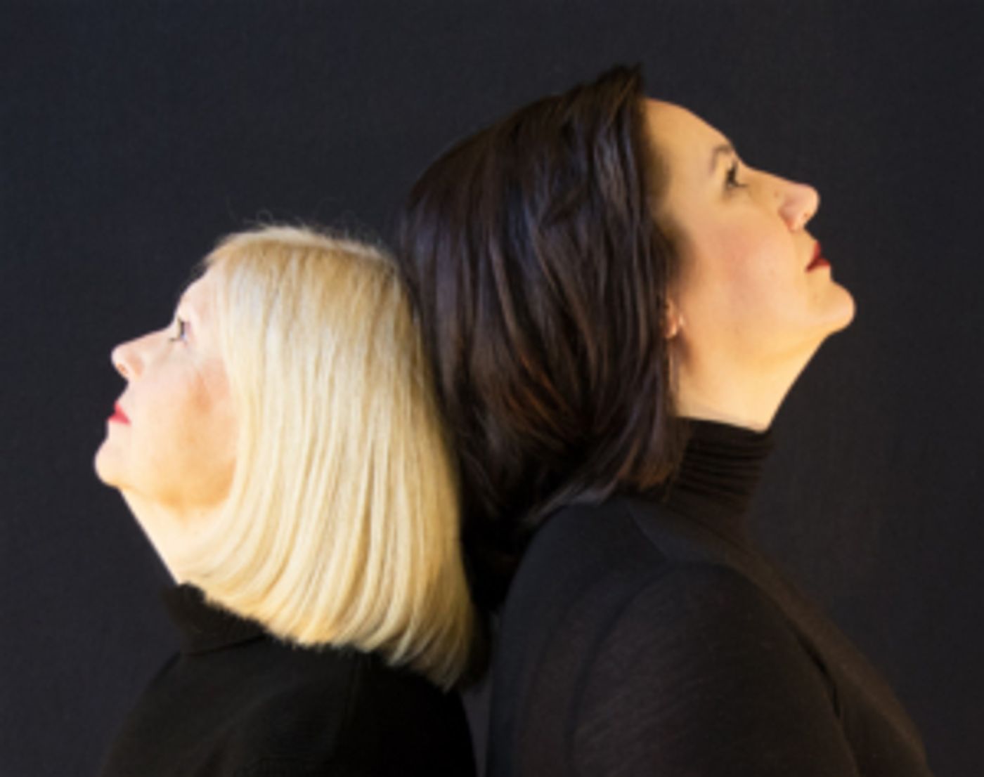 WingSpan Theatre Company Celebrates Its Twenty Second Season!  Image