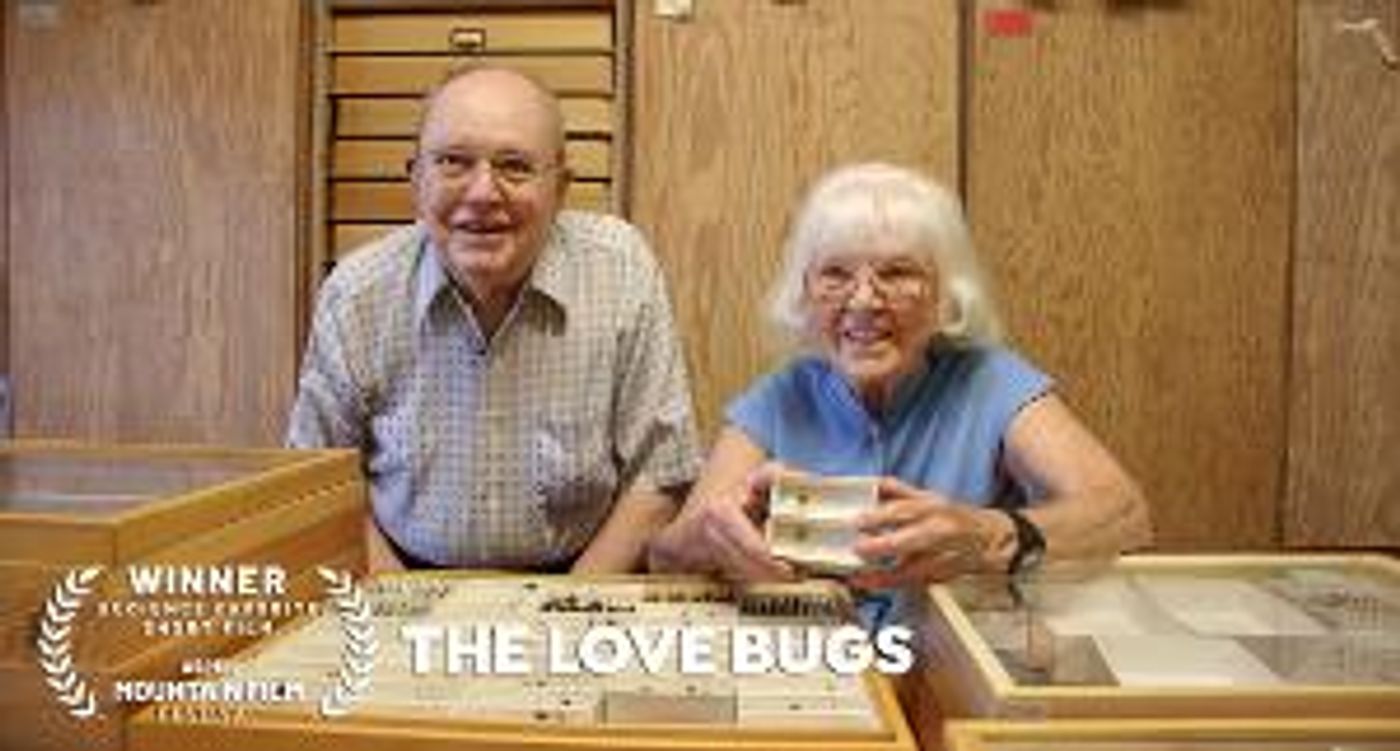 ASPEN MOUNTAIN FILM FESTIVAL Announces Winners Of The 2019 Festival  Image