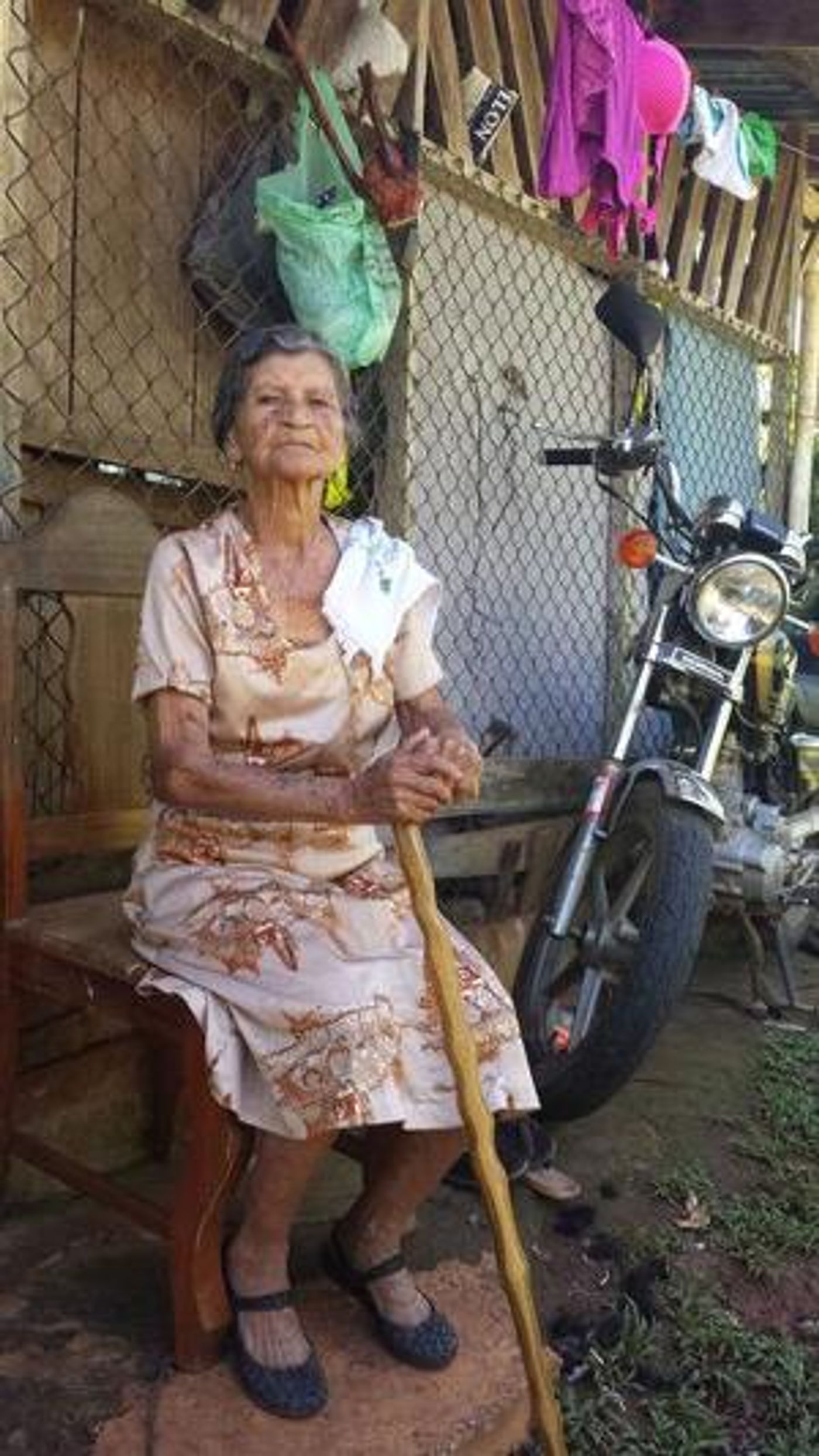 IN THE MOMENT Premier Exhibit Celebrates Curtain Up! Buffalo  Image