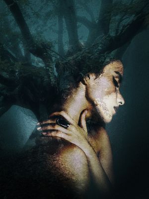 Co-Opera Presents AMONGST THE TREES  Image