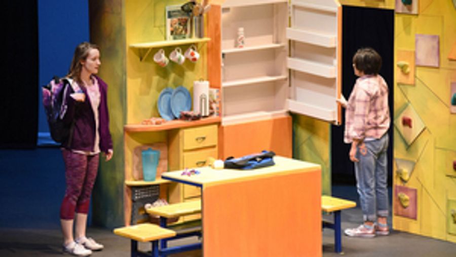 Eisemann Center's Family Theatre Series Opens With MADDI'S FRINGE Image