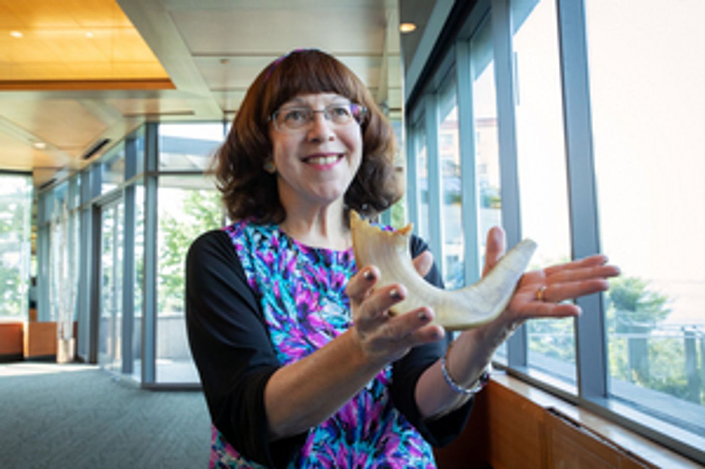 Museum Of Jewish Heritage In NYC Unveils Shofar That Survived Auschwitz  Image