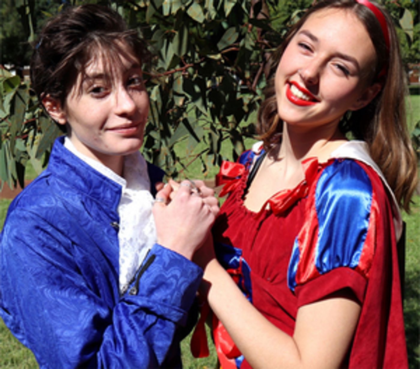 Wembley Theatre Company Presents THE SECRET OF SNOW WHITE  Image