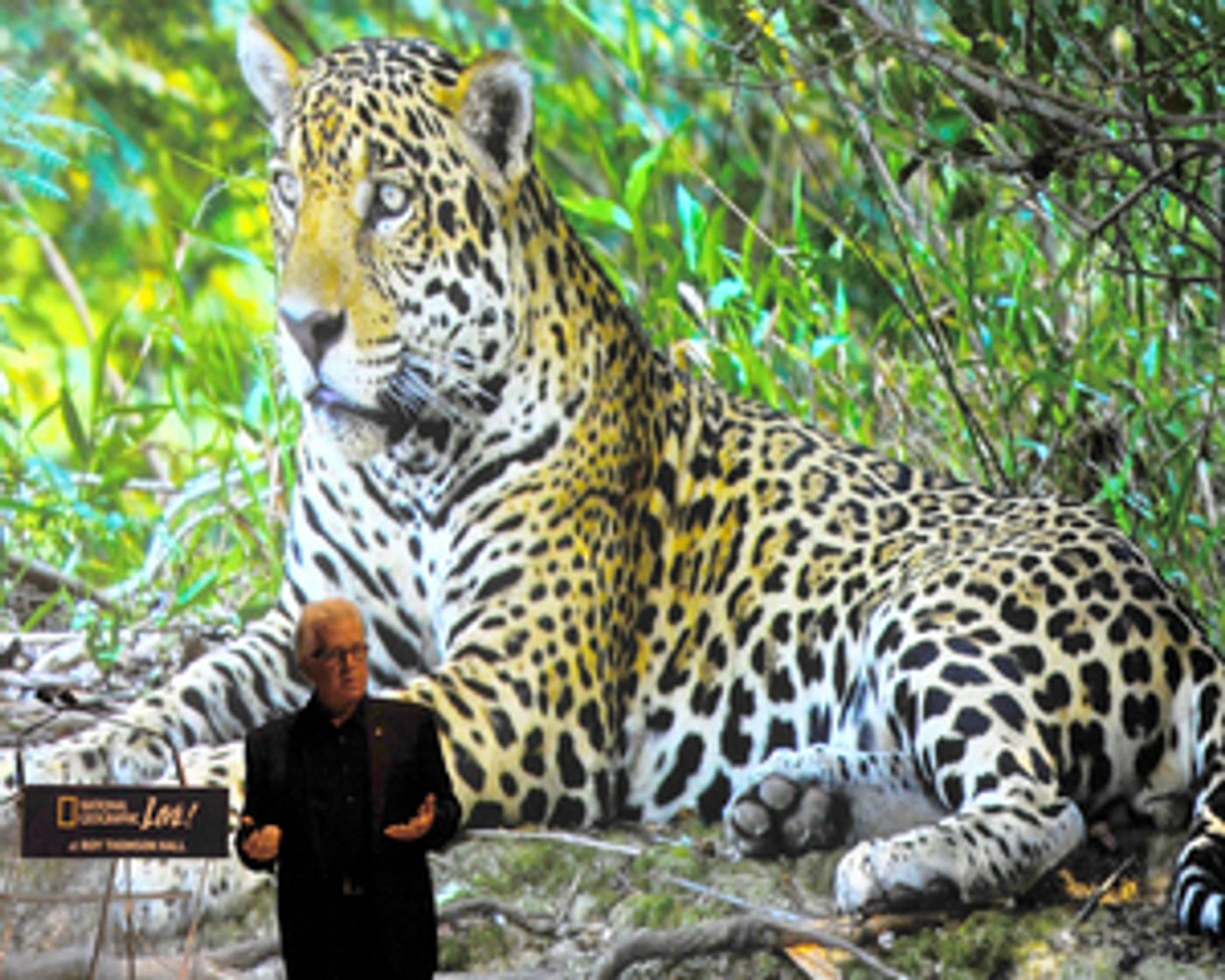 Alberta Bair Theater Kicks Off Nat Geo Speaker Series With ON THE TRAIL OF BIG CATS With Steve Winter  Image