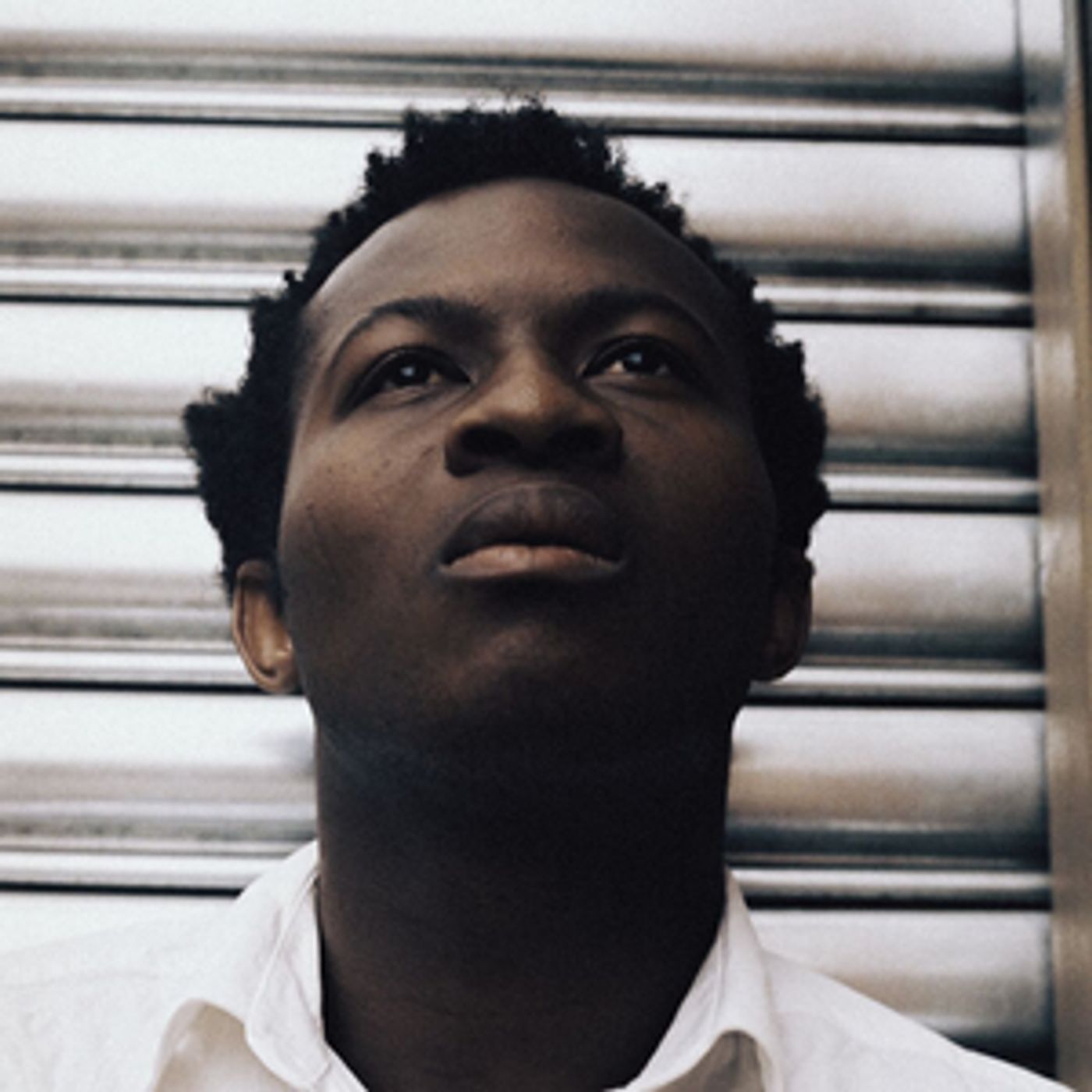 GOOD DOG Comes to Kings Cross Theatre  Image