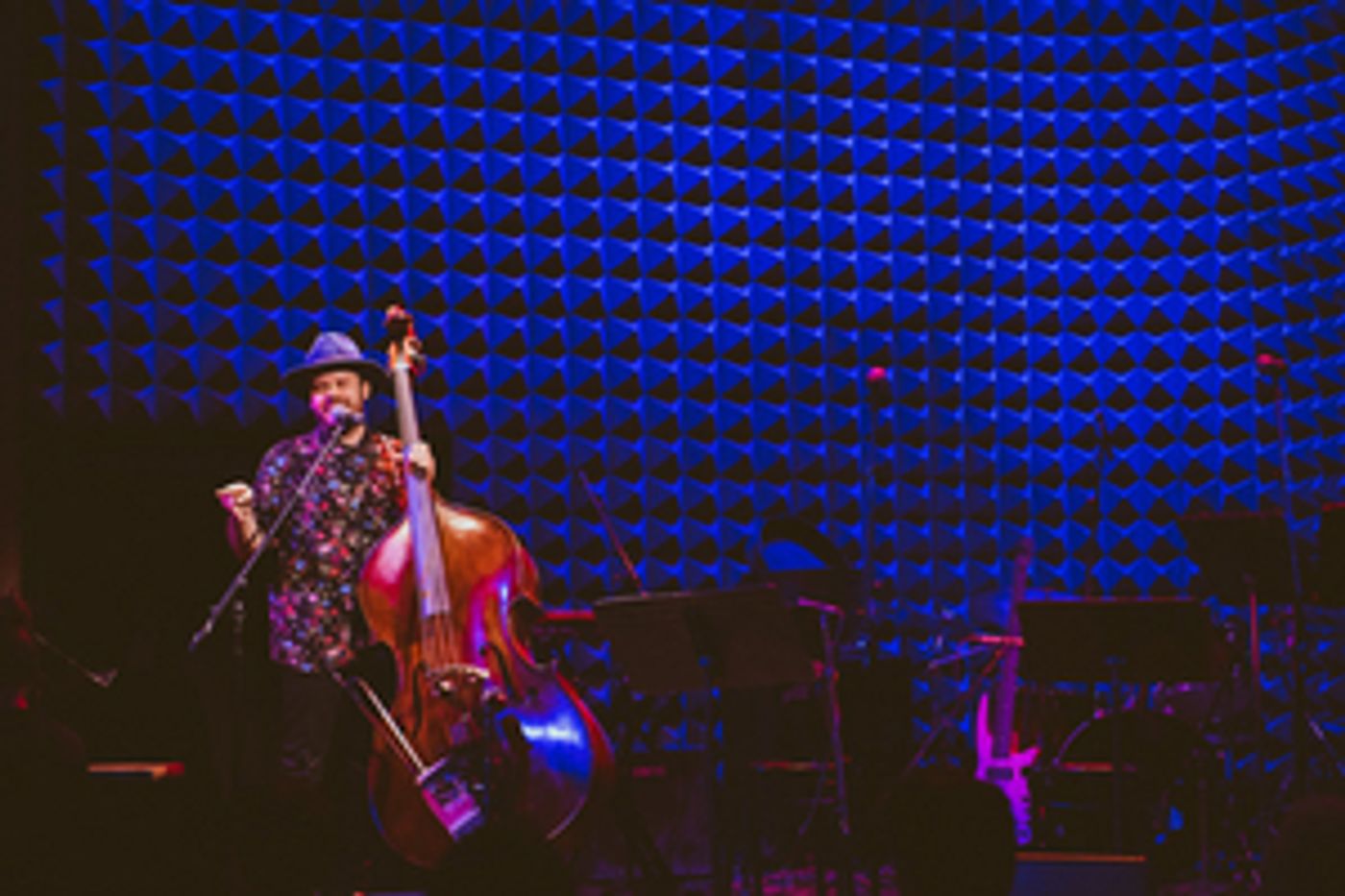 THURBER THEATER Comes to Joe's Pub  Image