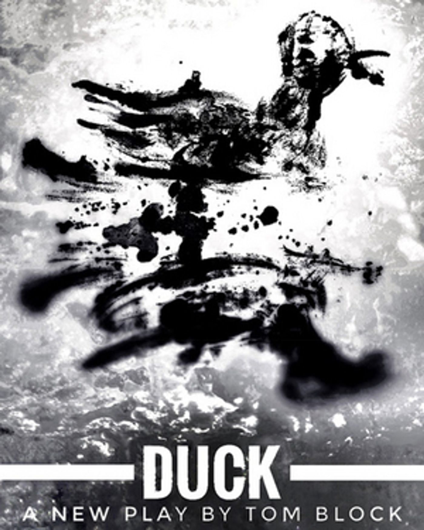 DUCK Begins Performances Tonight, Opens October 24  Image