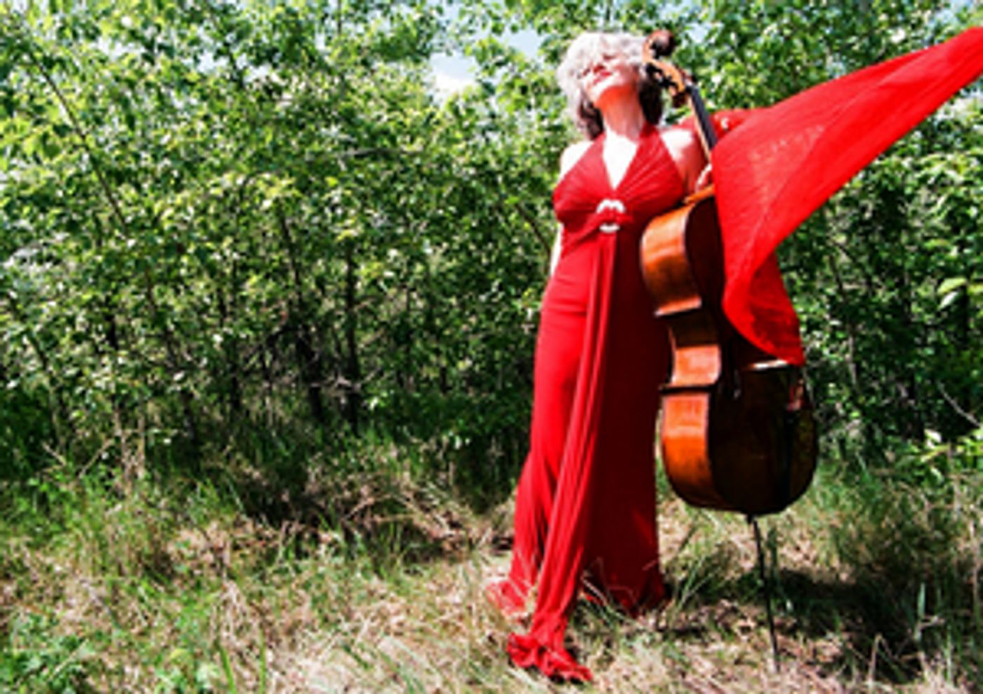 Hershey Symphony Orchestra Presents Cello Concert  Image