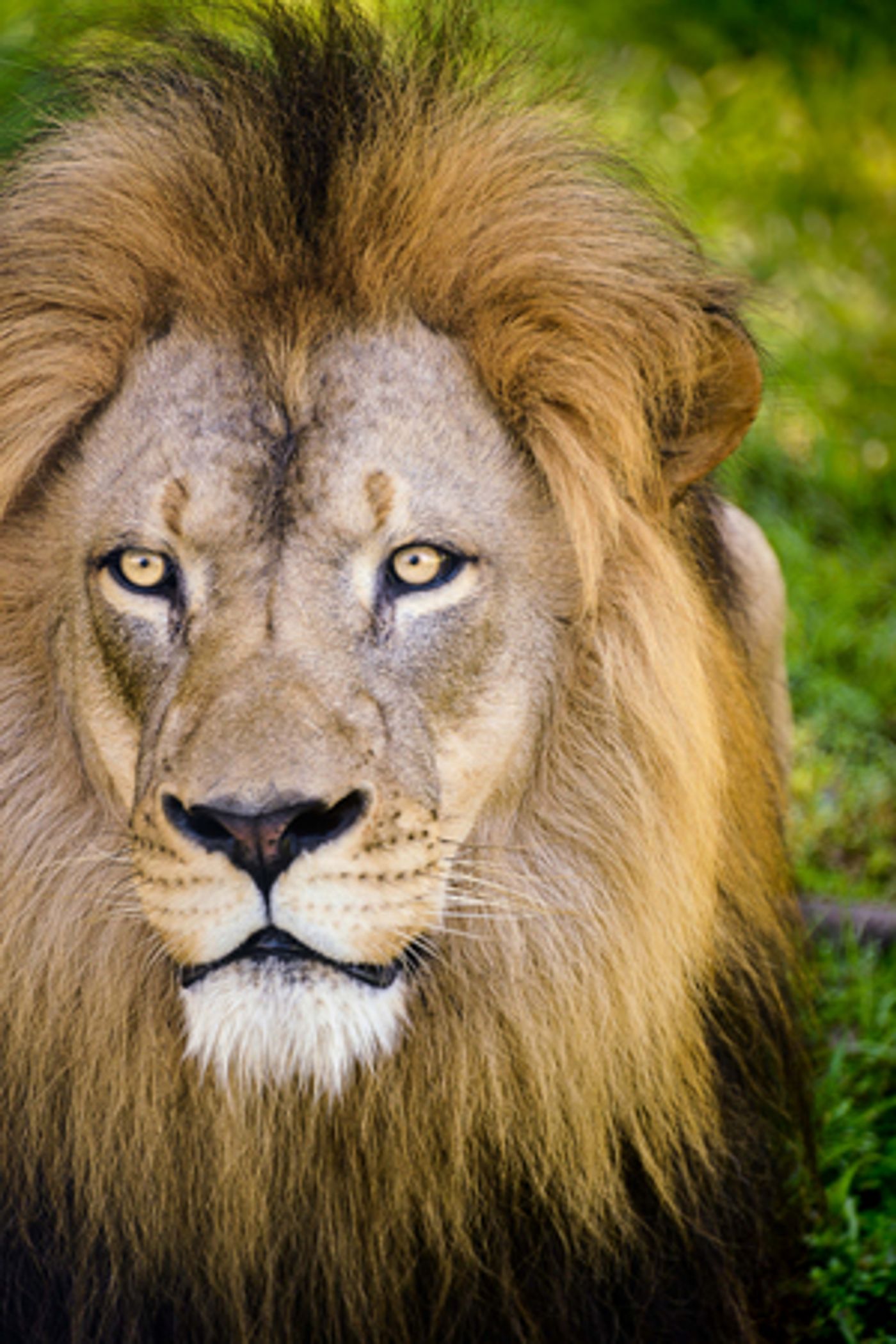 ArtServe Receives $15,000 Arts Alive Grant From PNC Foundation For 'Changing Landscapes' Art Exhibition  Image