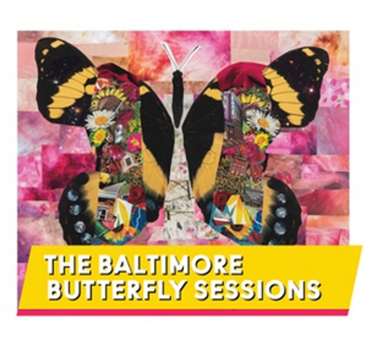 Baltimore Center Stage Announces THE BALTIMORE BUTTERFLY SESSIONS  Image