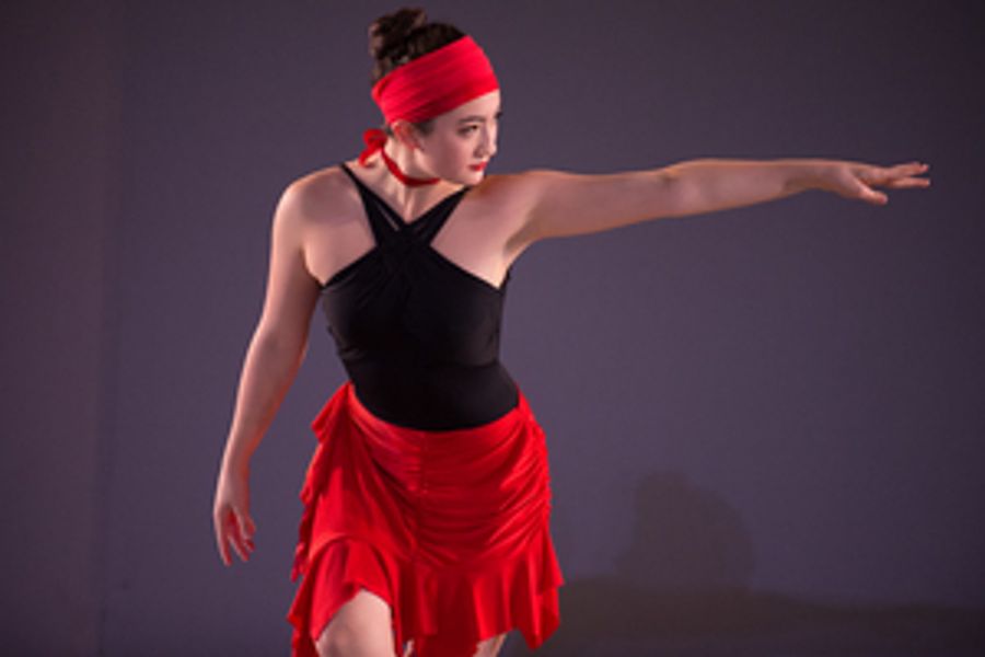 Donations Of Items And Volunteers Needed For North Shore Civic Ballet's Annual Holiday Auction Image