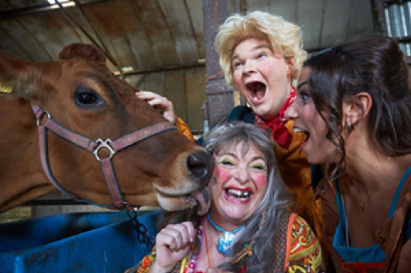 The Everyman Will Present JACK AND THE BEANSTALK Panto  Image