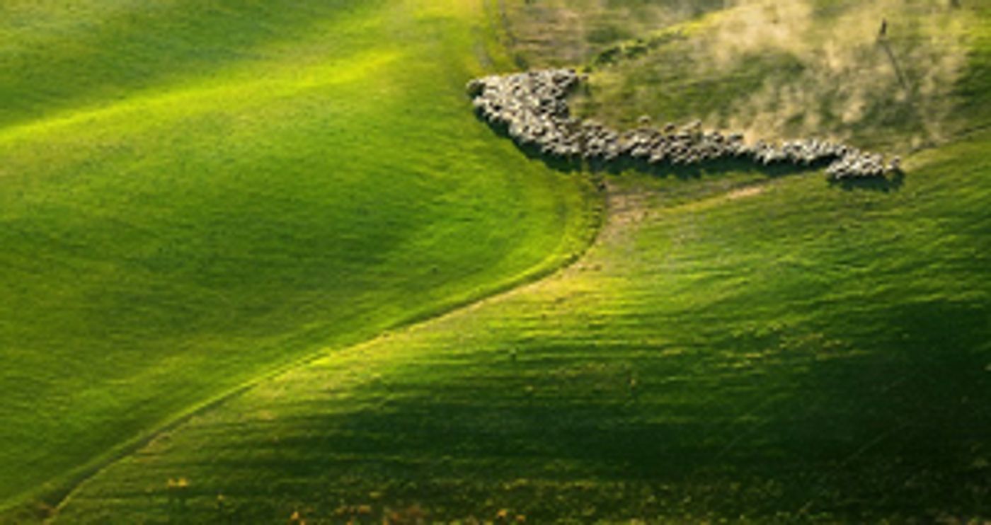 Traditional Italian Christmas Music Brightens December At Tafelmusik  Image