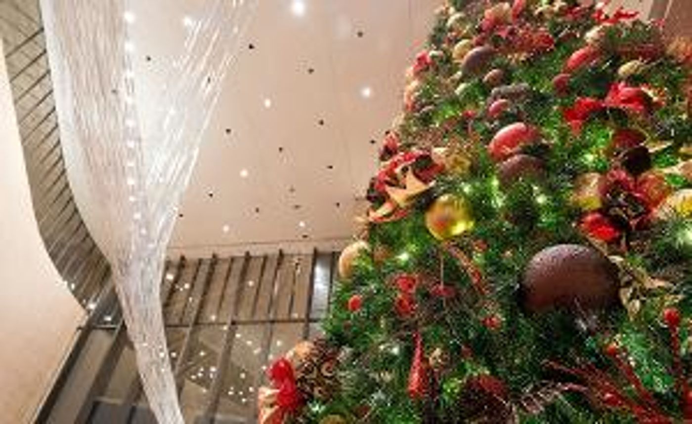 Houston Symphony Announces 2019 Holiday Concerts  Image