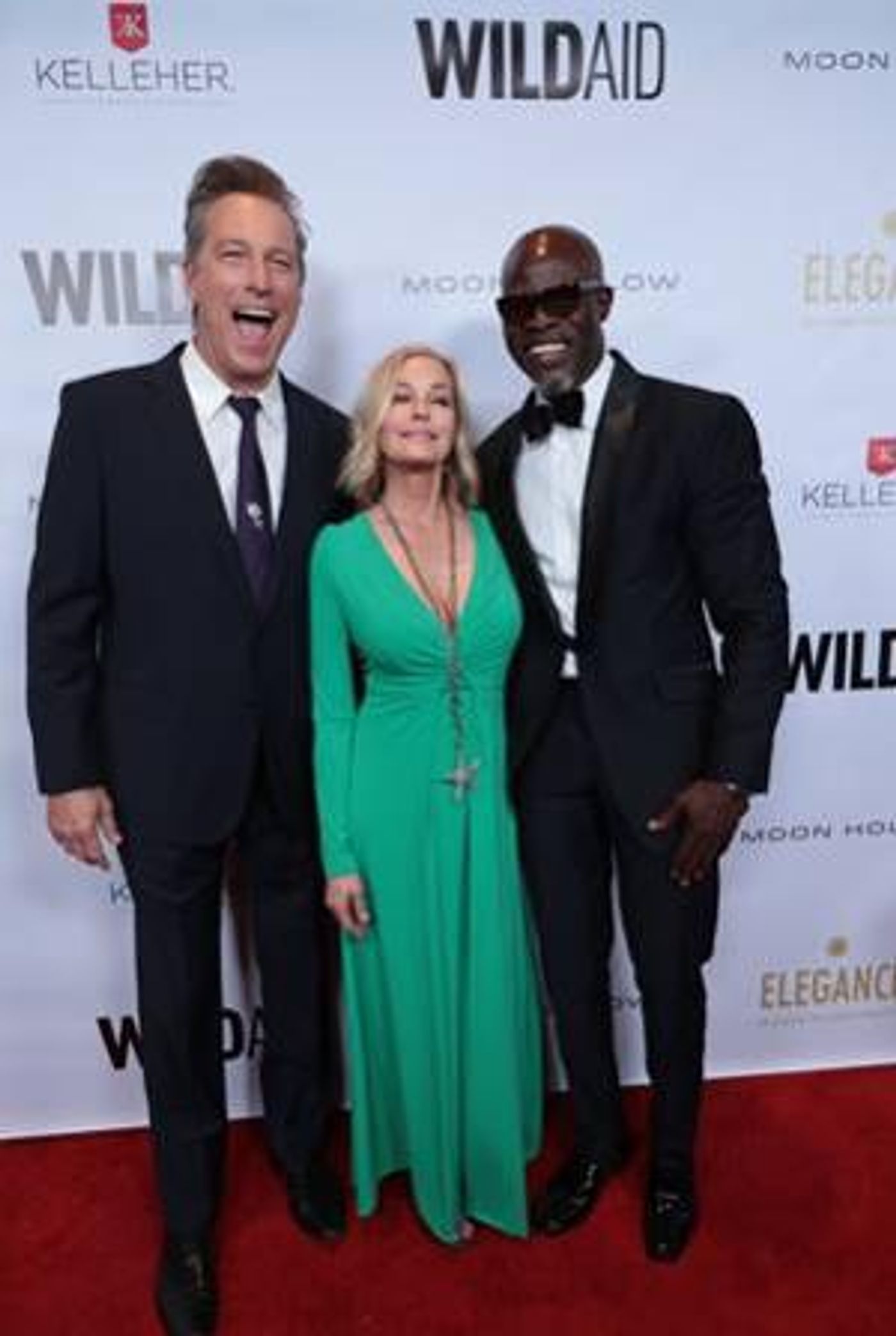 WildAid Honors Lupita Nyong'o With Special Guest Djimon Hounsou At Annual Gala  Image