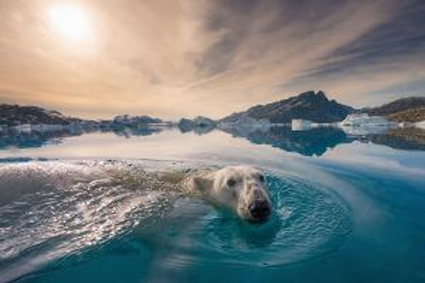 NAT GEO LIVE Comes To The Broad Stage In December  Image