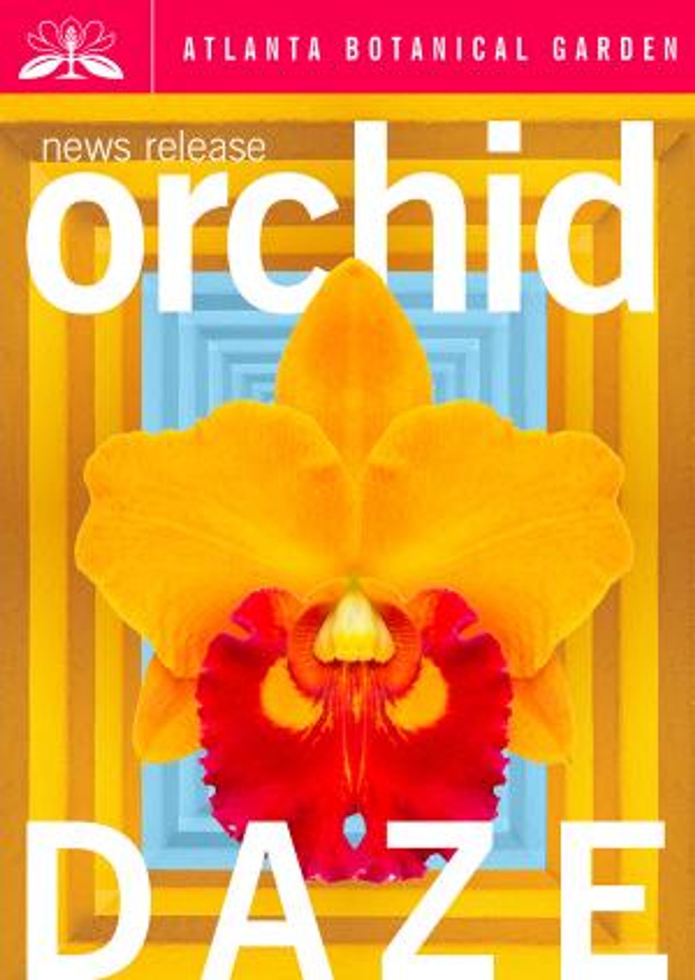Orchid Daze Celebrates Latin Landscapes  Image