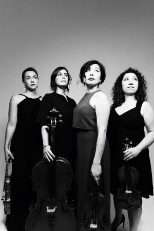 DACAMERA Presents MUSIC AND ISOLATION: Aizuri Quartet At The Menil   Image