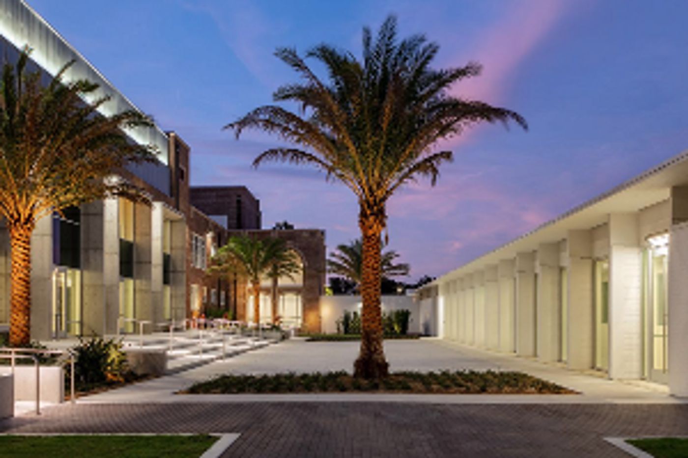 Sarasota Art Museum Announces Grand Opening  Image