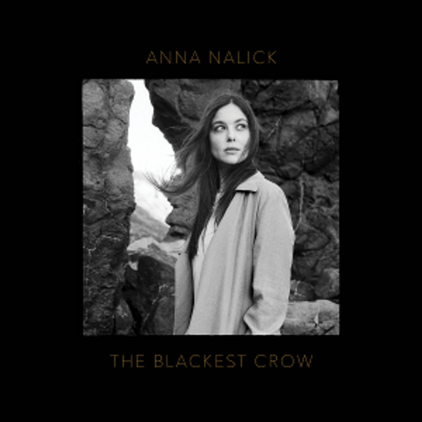 Anna Nalick's The Blackest Crow Available Now  Image