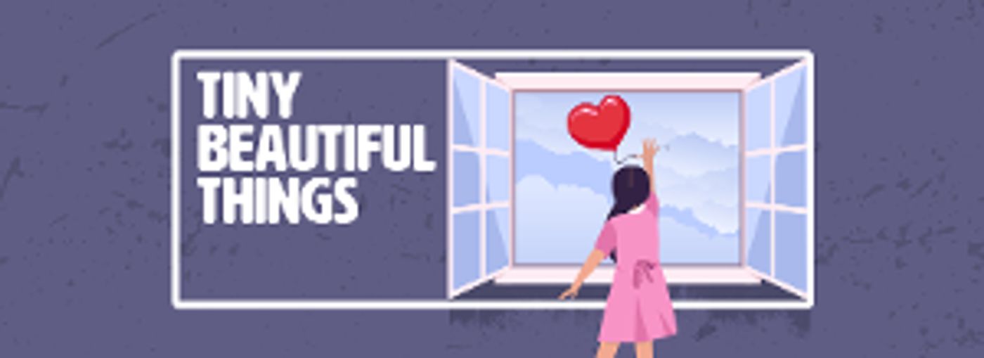 San Francisco Playhouse Presents the Bay Area Premiere of TINY BEAUTIFUL THINGS  Image