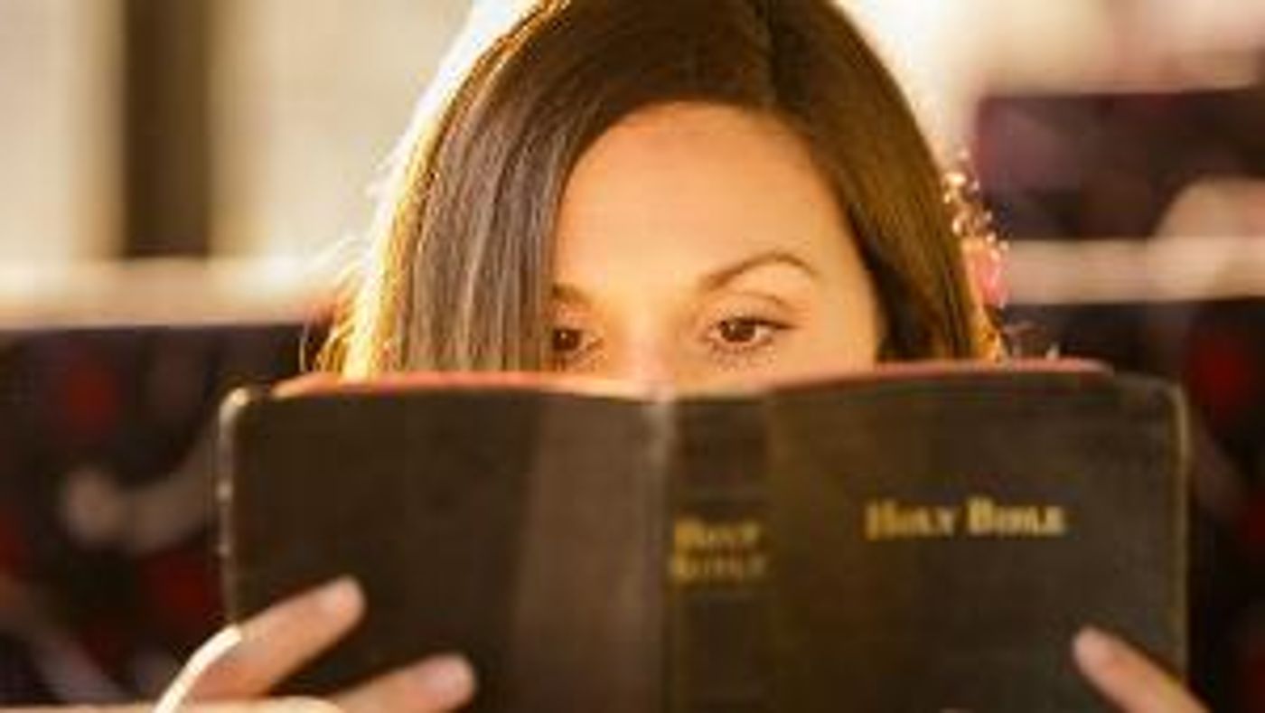 VIOLET Emerges On The Garden Stage  Image