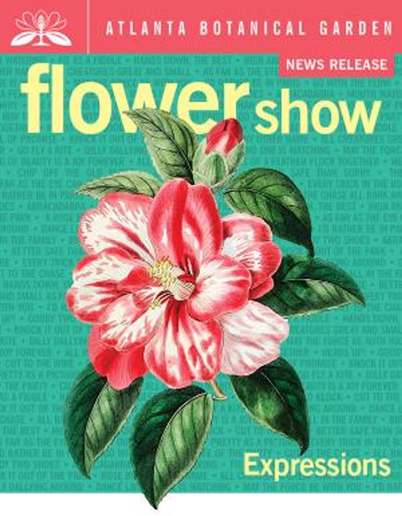 Atlanta Botanical Garden Flower Show Reblooms In February  Image