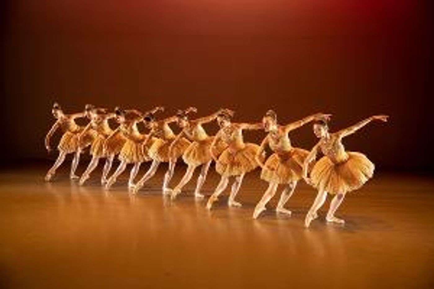 The Duchess Of Cornwall Will Visit Elmhurst Ballet School In Birmingham  Image