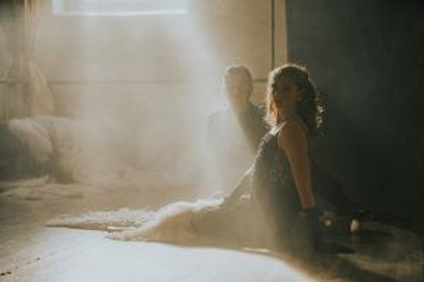 Greater Boston Stage Company Presents The World Premiere Of SWAN LAKE IN BLUE: A JAZZ BALLET  Image