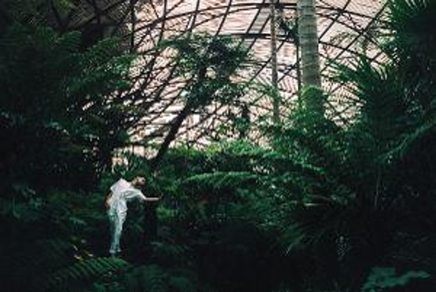 Forest Collective Return To Midsumma With CHLOROPHYLL  Image